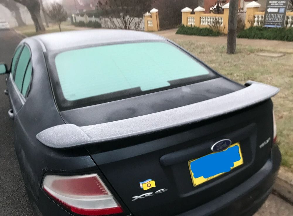 a sticker with overlapping trans and intersex flags on the back of a black sedan with a small spoiler