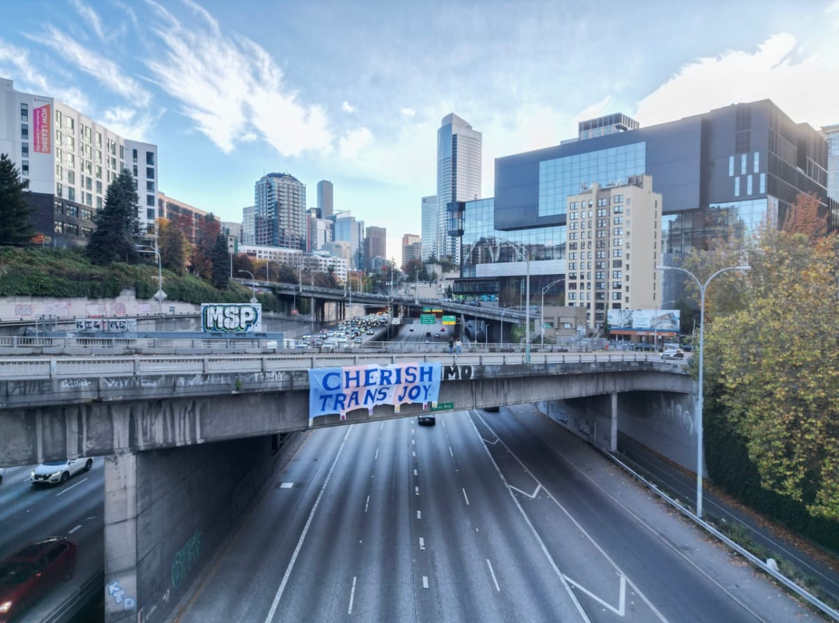 a banner that reads Cherish Trans Joy in all caps on a trans flag background hangs from a bridge overlooking a major freeway. Buildings and blue sky are in the background.