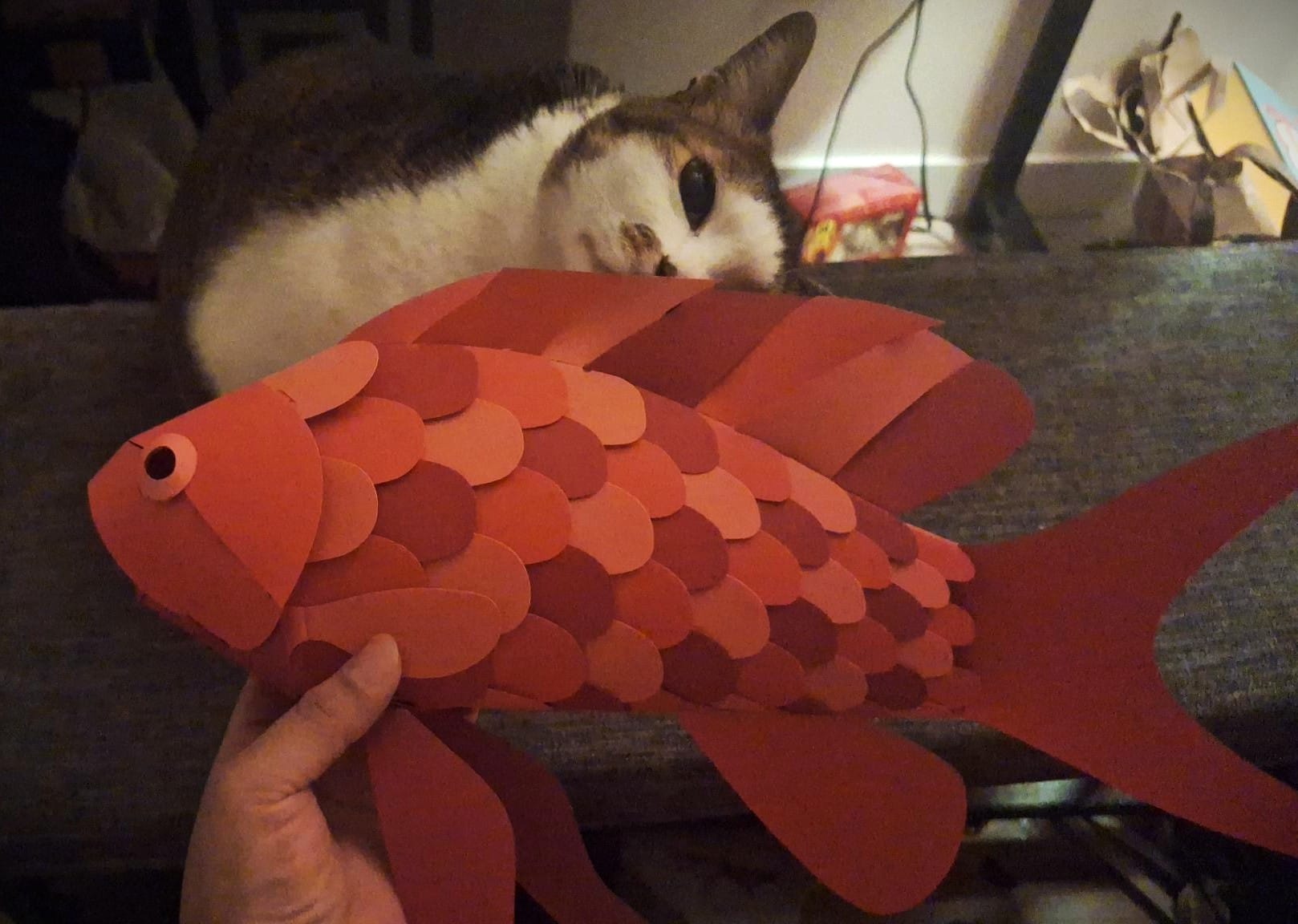 A light brown hand holding a red paper fish with round scales in different shades. A white and brown cat sits behind it and stares at the fish. 