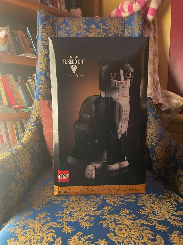 a boxed lego set of a tuxedo black and white cat. the box is sitting on a blue and gold brocade armchair