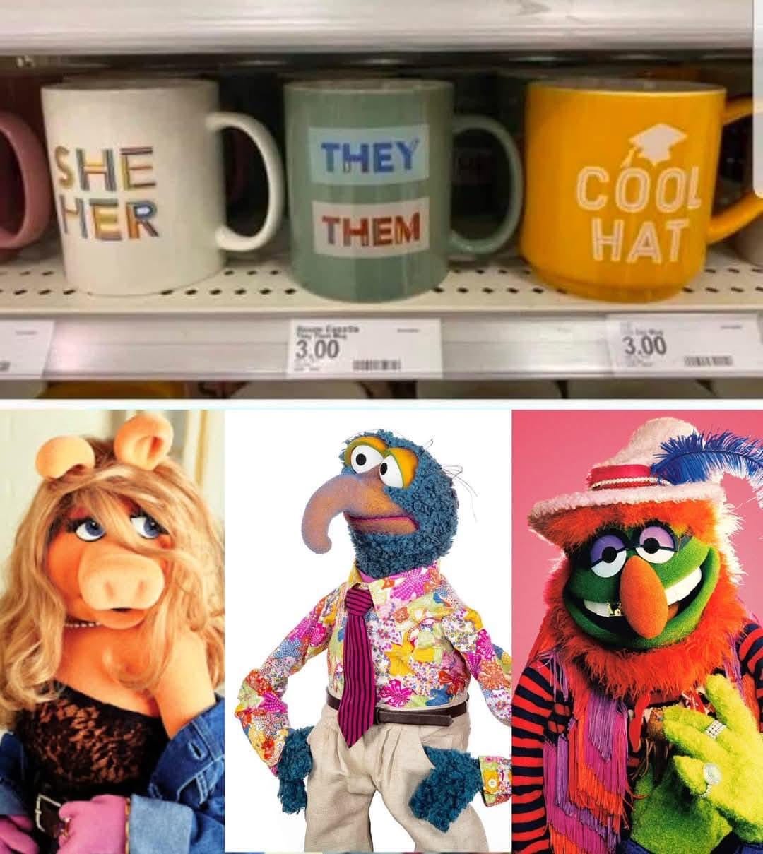 three mugs that say she/her, they/them, and cool hat, with corresponding sesame street characters - miss piggy, bonzo, and elmo dressed up fancy