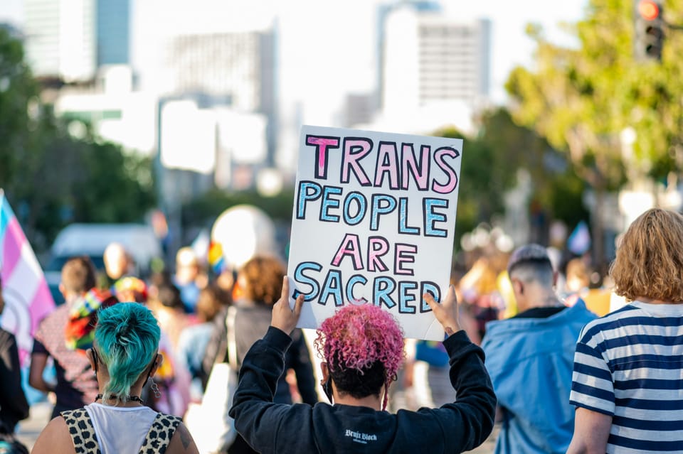A blue and pink sign that reads Trans People Are Sacred held up by a person with light brown skin and pink curly hair.